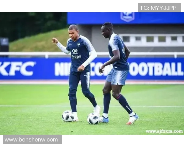 足球明星与国旗元素结合的创意鞋子图片展示 足球明星与国旗元素结合的创意鞋子图片展示