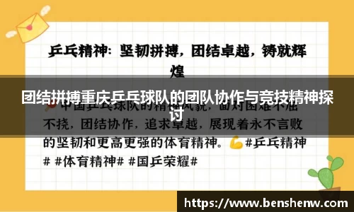 团结拼搏重庆乒乓球队的团队协作与竞技精神探讨